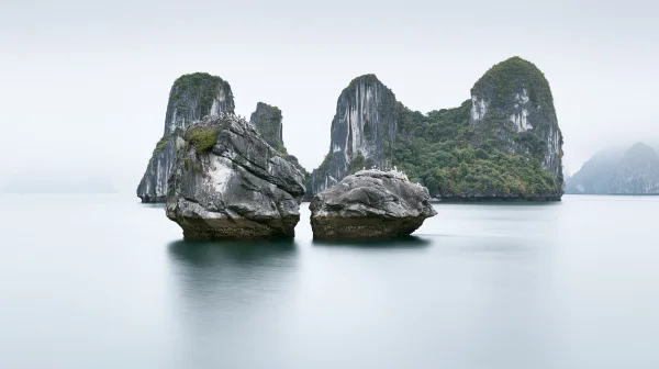 白い霧に静かに並ぶ奇岩の海の壁紙 - 自然・風景 / 海・湖・水辺