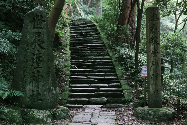 石段が続く杜の参道 - 世界遺産・遺跡の壁紙