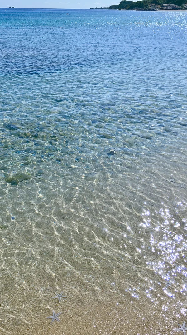 Clear Waves in Shallow Sea Water - Sea, Lakes & Water wallpaper