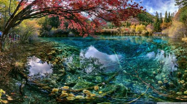 紅葉と澄んだエメラルドの湖の壁紙 - 海・湖・水辺 / 自然・風景