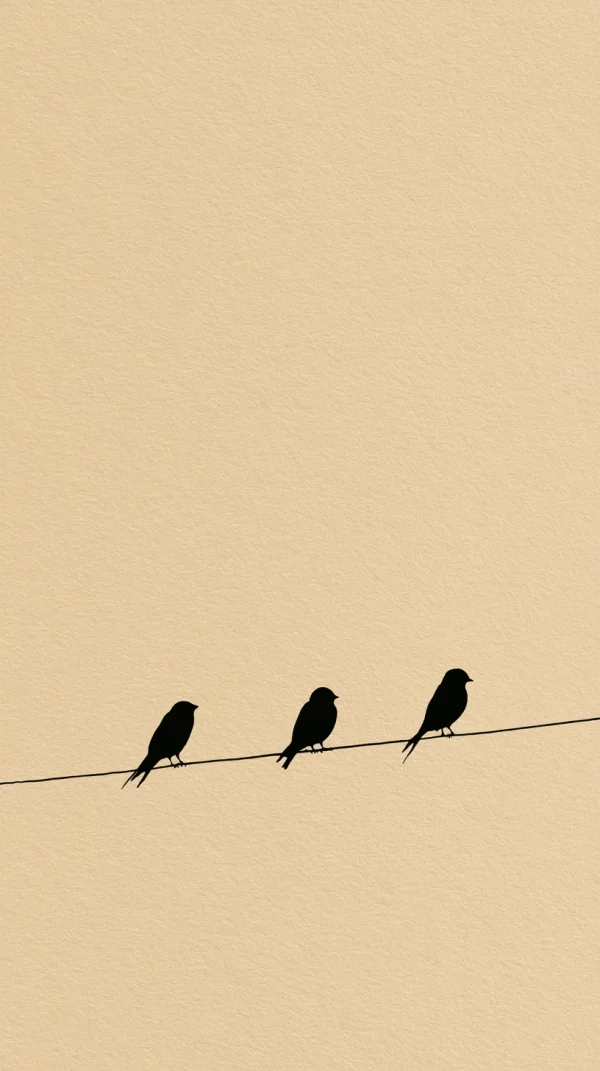 Three Birds Silhouetted on a Wire - Minimal & Abstract / Animals wallpaper