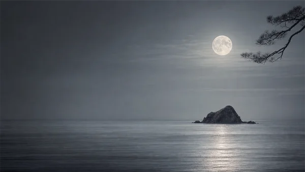 月に照らされた凪の海 - モノクロ フルHD - 海・湖・水辺 / 空・星空・夕景の壁紙