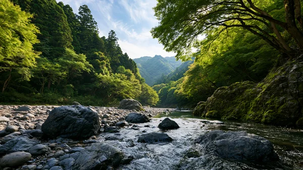 苔むす渓流を抜ける新緑の道 - 緑 4K - 海・湖・水辺 / 花・植物の壁紙