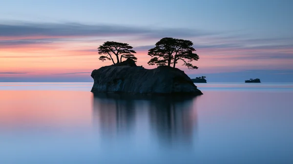 夕凪の海に浮かぶ松の岩礁 - オレンジ フルHD - 海・湖・水辺 / 自然・風景の壁紙