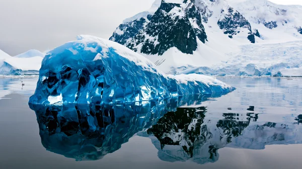 Translucent Blue Iceberg - Sea, Lakes & Water / Nature & Landscape wallpaper
