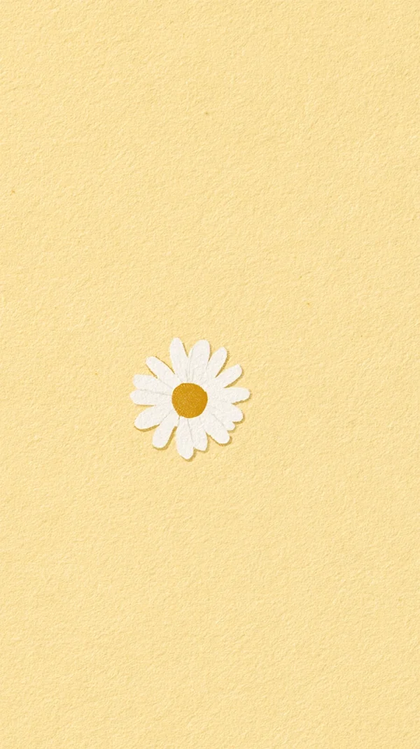White Daisy on a Pale Yellow Background - Minimal & Abstract / Flowers & Plants wallpaper