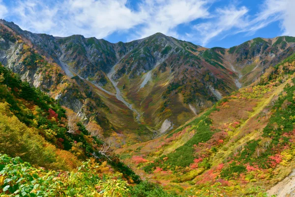 秋色に染まる北アルプスの谷の壁紙 - 自然・風景