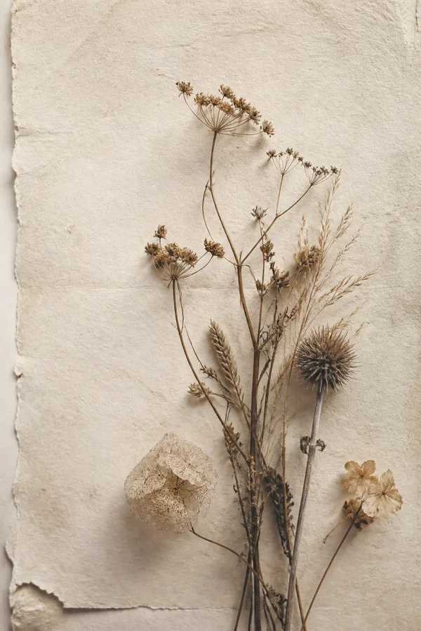 Dried Flowers on Washi - Orange Phone - Minimal & Abstract wallpaper