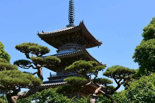 A Pagoda in a Bonsai Garden - Heritage & Ruins wallpaper
