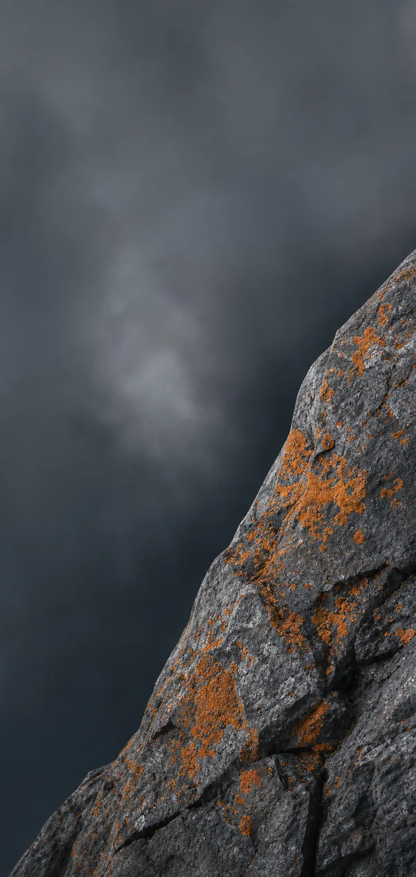 Mist-Wet Rock and Orange Lichen - Mono Phone - Nature & Landscape wallpaper