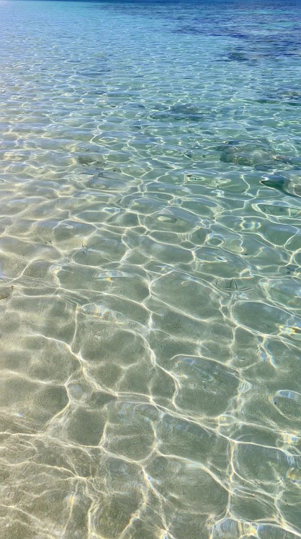 Soft Green Water with Dancing Light Patterns - Sea, Lakes & Water / Minimal & Abstract wallpaper
