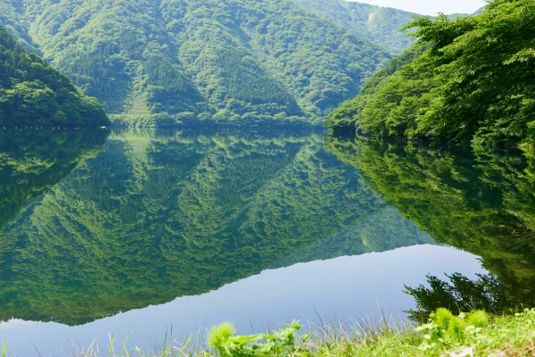 新緑の山を鏡のように映す湖の壁紙 - 海・湖・水辺 / 自然・風景
