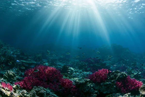 Curtains of Light on a Blue Seabed - Sea, Lakes & Water wallpaper