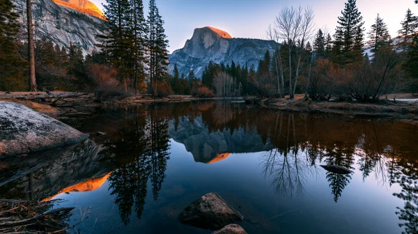 Bare Trees and Granite Wall Reflected in a Forest Lake - Nature & Landscape wallpaper