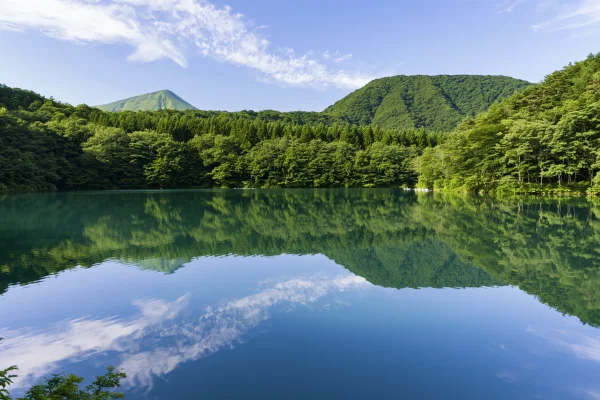 森に囲まれた湖に映る夏の雲の壁紙 - 海・湖・水辺 / 自然・風景