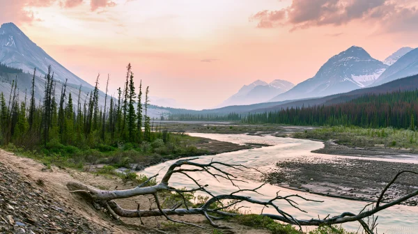 Wide River Bed with Driftwood and Mountains - Nature & Landscape / Sea, Lakes & Water wallpaper