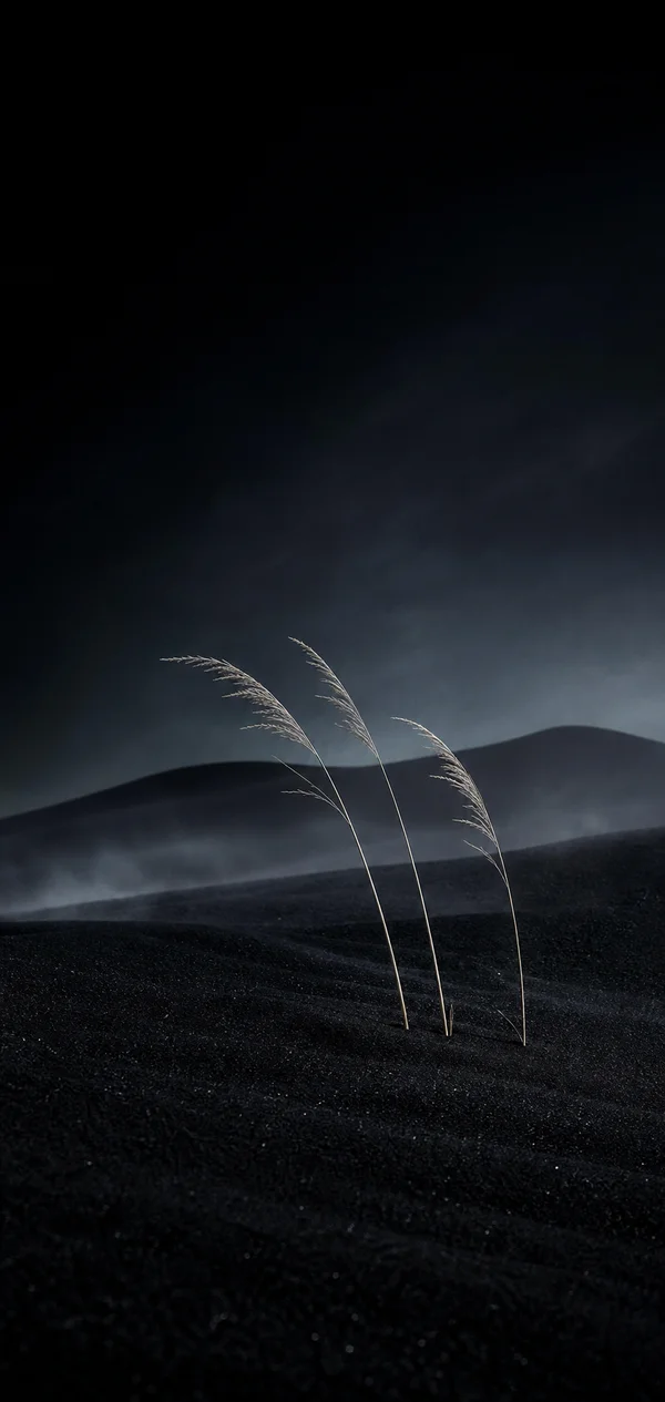 Grasses Swaying on a Night Hill - Mono Phone - Nature & Landscape wallpaper