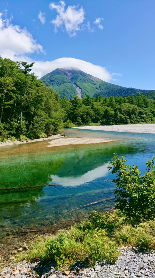 川の浅瀬が緑に映える森の川辺の壁紙 - 海・湖・水辺