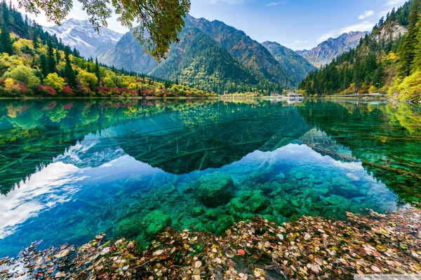 Emerald Lake Mirroring Mountains and Forest - Nature & Landscape / Sea, Lakes & Water wallpaper