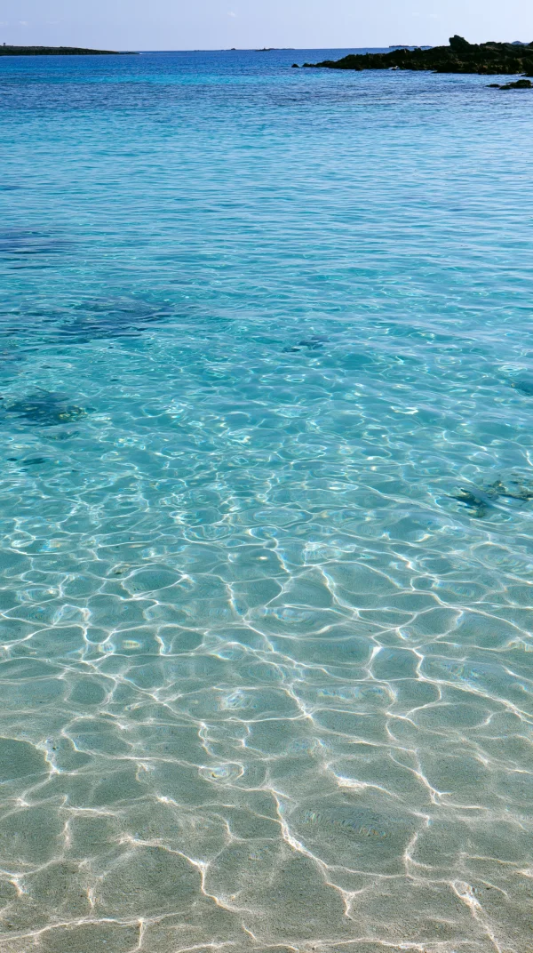 光の網目が揺れる透明な浅瀬の壁紙 - 海・湖・水辺