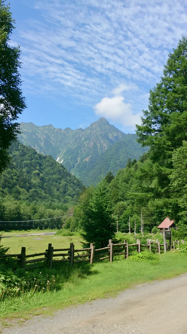 Green Mountain Valley among Conifers - Nature & Landscape wallpaper