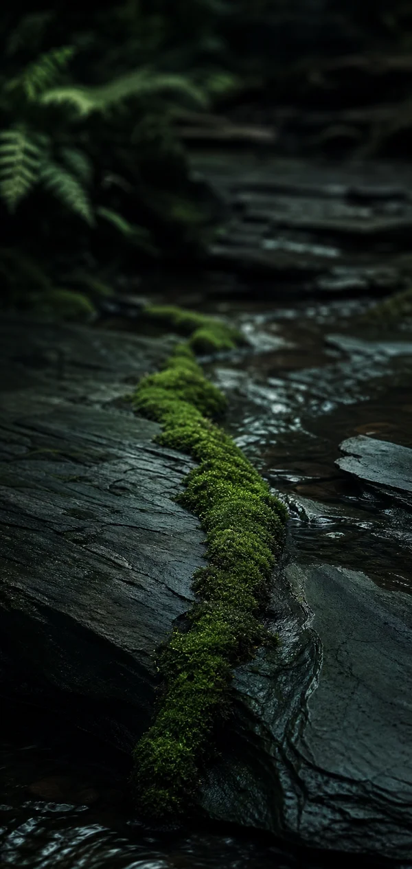 A Mossy Log Across the Stream - Green Phone - Sea, Lakes & Water / Flowers & Plants wallpaper