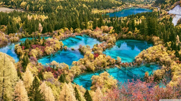 黄葉に囲まれた青緑の池の連なりの壁紙 - 海・湖・水辺 / 自然・風景