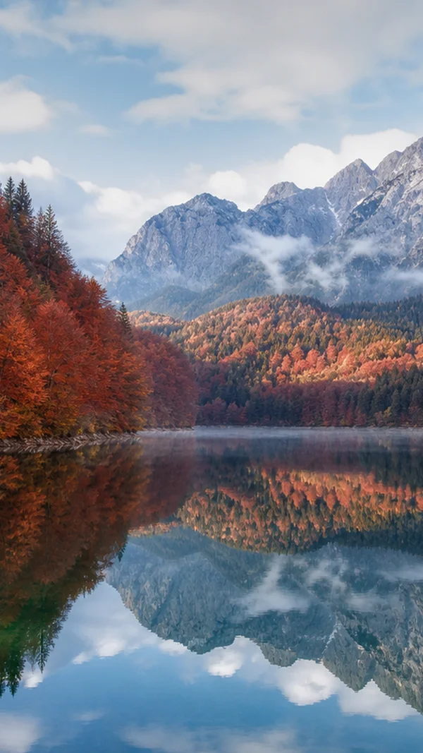 紅葉の森が映り込む静かな湖 - ブルー スマホ - 自然・風景 / 海・湖・水辺の壁紙