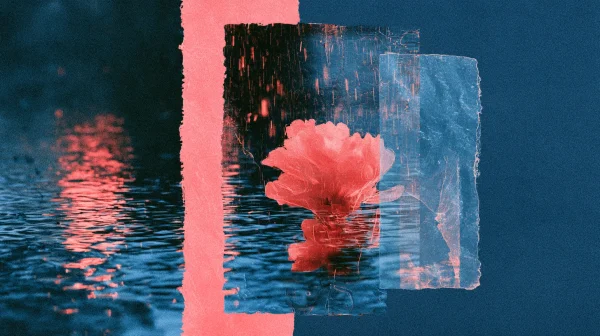 Rainy Reflection Fragment Pink Strip Flower Outline Transluce - Flowers & Plants wallpaper