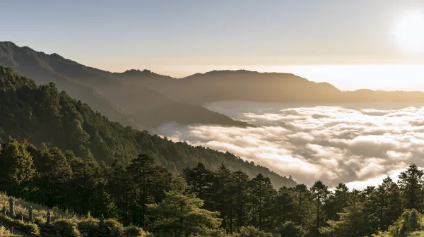 山肌を流れ落ちる雲海の壁紙 - 海・湖・水辺 / 自然・風景
