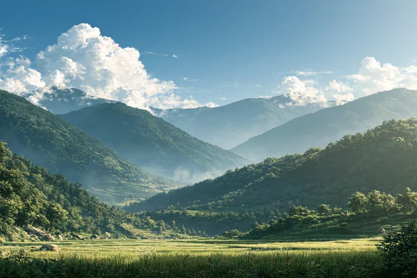 A Mountain Path in Morning Mist - Nature & Landscape wallpaper