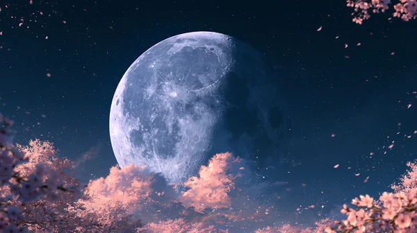 A Large Moon Rising Over a Sky of Falling Cherry Blossoms - Pink Full HD - Sky, Stars & Sunsets / Fantasy & Space wallpaper