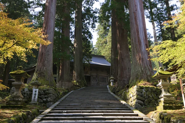 杉並木の参道 - 世界遺産・遺跡の壁紙