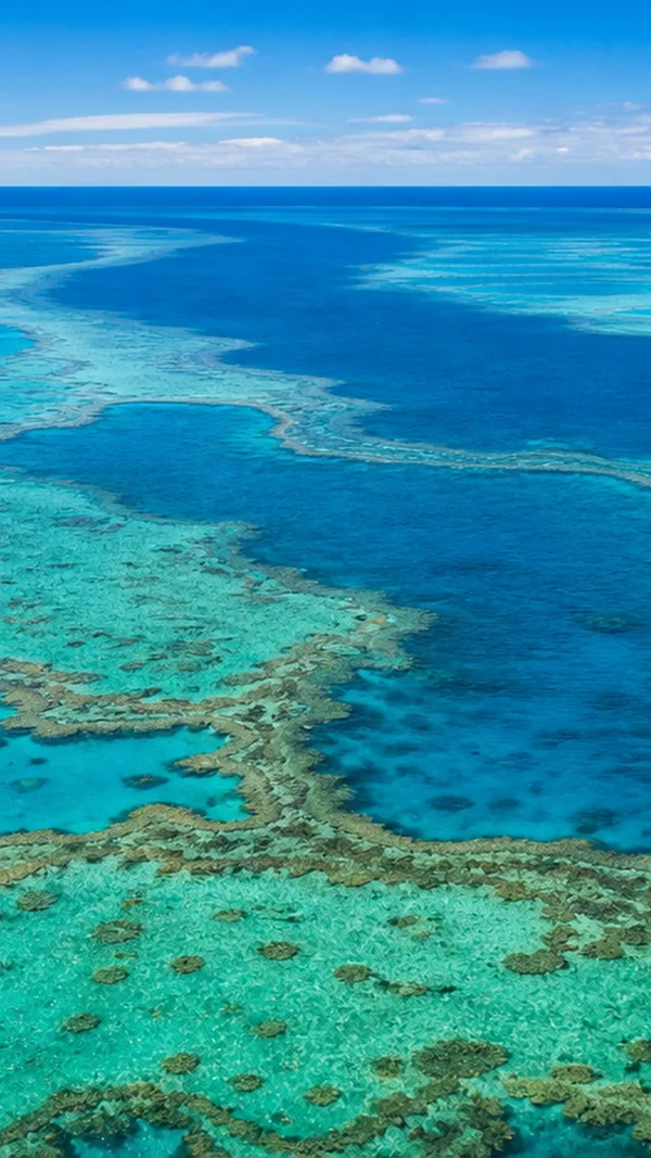 A Gradient of Coral Reef Seen From the Sky - Blue Phone - Minimal & Abstract wallpaper