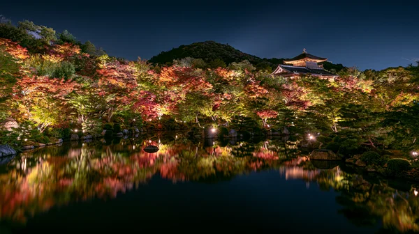 紅葉に染まる古刹の夜景 - 赤 フルHD - 世界遺産・遺跡の壁紙
