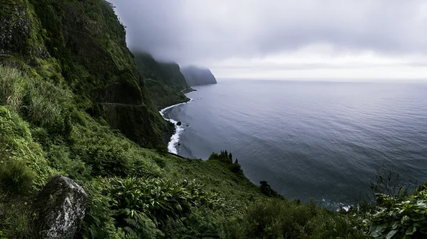 暗い海へ落ちる霧の断崖の壁紙 - 自然・風景 / 海・湖・水辺