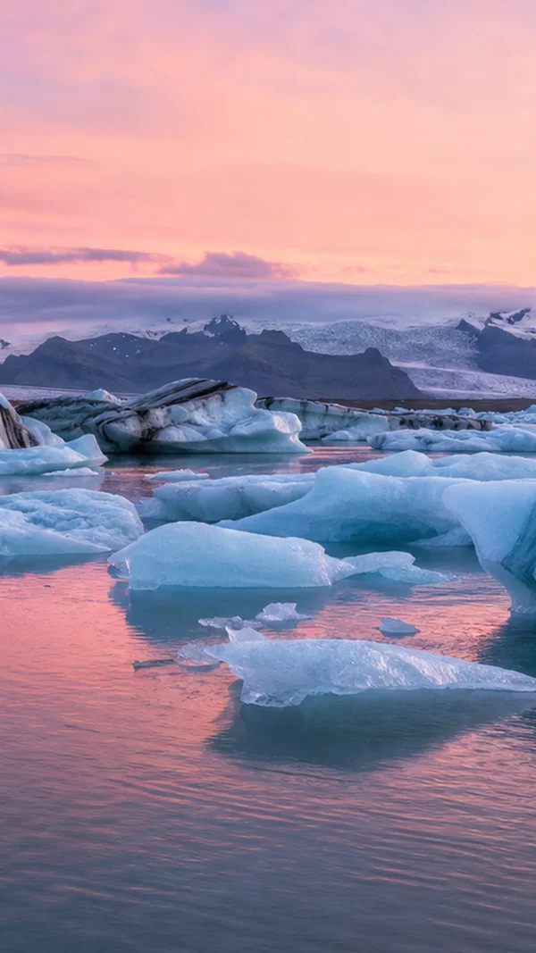 Icebergs on a Glacier Lagoon at Pink Dusk - Red Phone - Sea, Lakes & Water / Nature & Landscape wallpaper