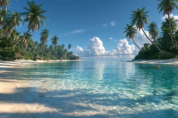 Palms Along a White Shore - Sea, Lakes & Water / Nature & Landscape wallpaper