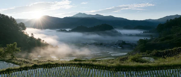 A Terraced Village Wrapped in Morning Mist - Green 4K - Nature & Landscape wallpaper
