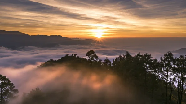 Sunrise over a Sea of Clouds - Sky, Stars & Sunsets / Sea, Lakes & Water wallpaper