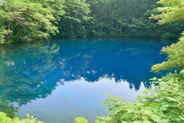 木々に囲まれた深い青の池の壁紙 - 海・湖・水辺 / 自然・風景