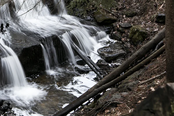 Small Waterfall and Fallen Log in Monochrome Tones - Sea, Lakes & Water / Nature & Landscape wallpaper