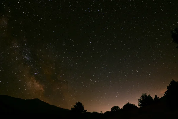 Starry Night Sky over a Forest Silhouette - Sky, Stars & Sunsets / Nature & Landscape wallpaper