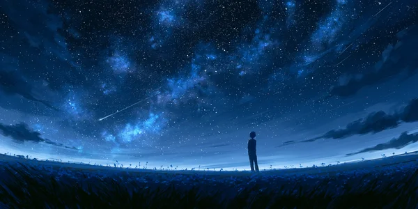 A Traveler Beneath a Shooting Star in the Flower Field - Blue 4K - Fantasy & Space / Flowers & Plants wallpaper