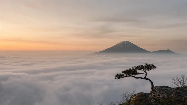A Pine Branch Above the Sea of Clouds - Orange Full HD - Sea, Lakes & Water wallpaper