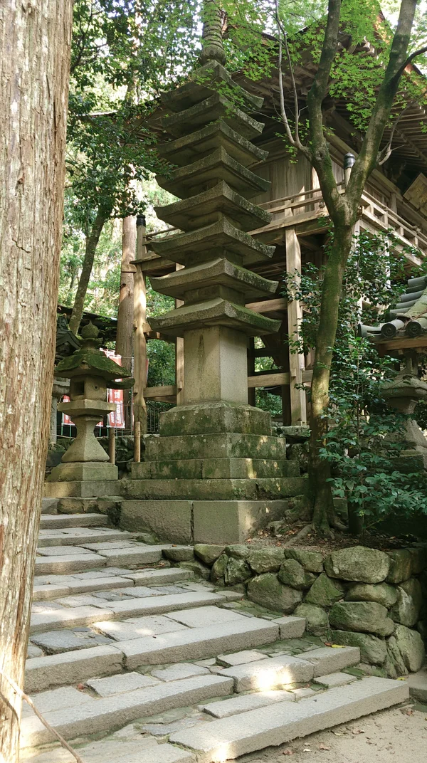 Stone Steps Into the Sacred Grove - Heritage & Ruins wallpaper